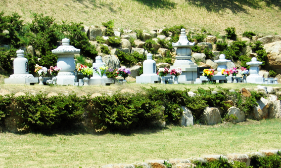 image06