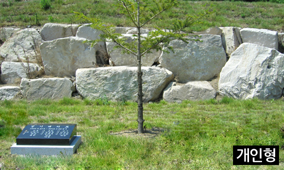image06