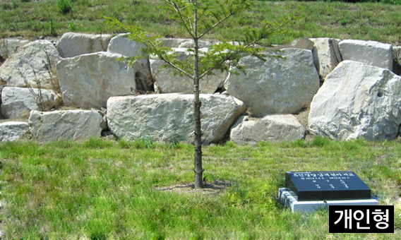 image06